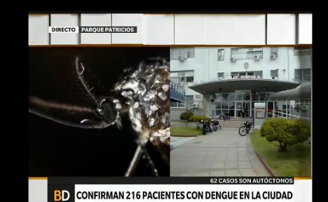 Confirman 216 casos de dengue en la ciudad de Buenos Aires