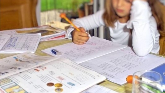 Suspensión de vacaciones de invierno, extensión de ciclo lectivo y bono extra a docentes: definiciones del ministro Trotta