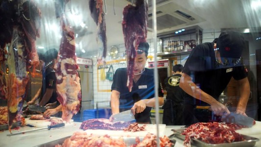 Una ciudad china prohibió el consumo de carne de perros y gatos
