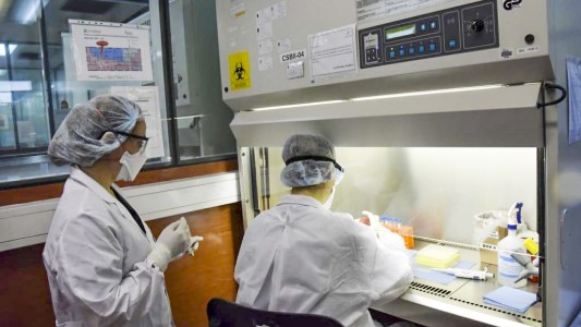 El Gobierno reportó que se hicieron casi 11 mil tests de coronavirus en Argentina