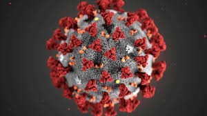 Investigación del Malbrán: por Argentina circulan tres cepas del coronavirus