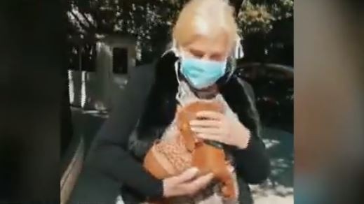 VIDEO: Con barbijo, Susana Giménez le dio la bienvenida a su nueva mascota
