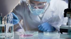 Coronavirus en Argentina: hay 82 muertos y 1.975 casos positivos en todo el país