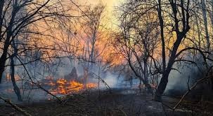 Aumenta la radiación en Chernobyl por los incendios forestales