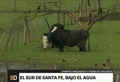 El sur de Santa Fe, bajo el agua
