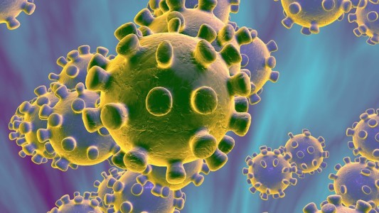 Científicos franceses pudieron matar al coronavirus a una temperatura mayor de la que estimaban