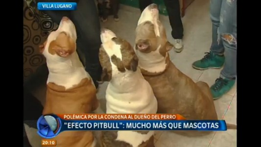 Un pitbull atacó a una beba de un año y seis meses y le perforó el cráneo