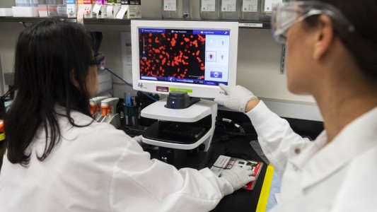 Carrera mundial para encontrar la vacuna al coronavirus: cuáles ya hacen ensayos con humanos