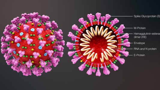 Un científico israelí asegura que los contagios de coronavirus disminuye a casi cero en 70 días