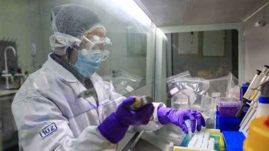 Una vacuna china logró proteger del coronavirus a un grupo de monos