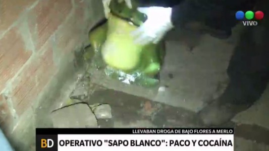 "Operativo Sapo Blanco": cayó una banda que guardaba cocaína en sapos de yeso