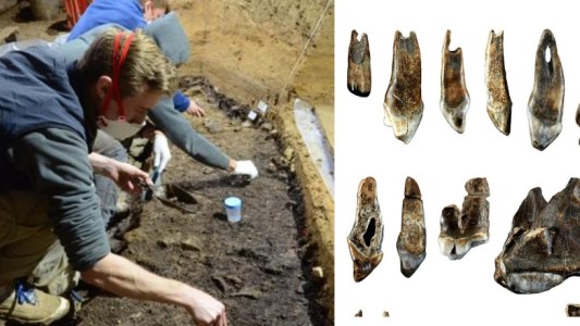 Diente y huesos: hallaron vestigios del Homo sapiens más antiguo de Europa