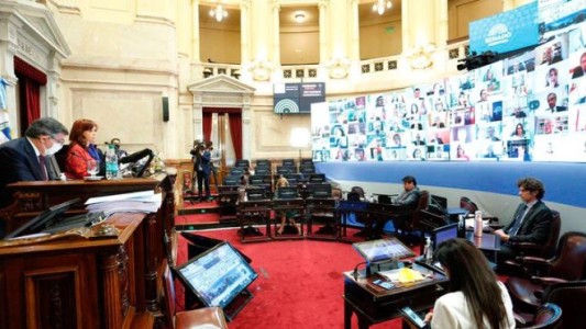 El Senado aprobó durante una sesión virtual los 20 DNU del presidente Alberto Fernández