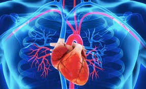 La otra cara del coronavirus: pronostican 9.000 muertes más por enfermedades cardiovasculares