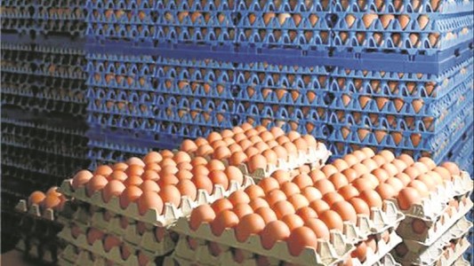 Denuncian una "mafia del huevo" que amenaza a inspectores cuando controlan los precios
