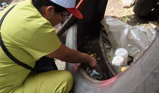 Crece el número de casos de dengue en Jujuy y ya suman cerca de 4.500