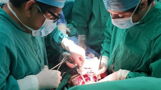 Día Nacional de la Donación de Órganos: Incucai celebra 218 trasplantes realizados en cuarentena