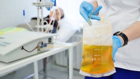 Coronavirus: ante resultados positivos en tratamientos, piden a más recuperados que donen plasma