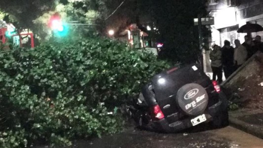 Un conductor y su hijo quedaron atrapados por la caída de un árbol
