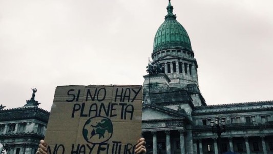 Día del Medio Ambiente: presentan paquete de leyes ambientales en Diputados