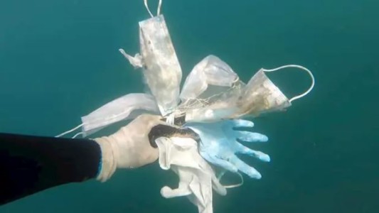 La contaminación del COVID-19: barbijos y guantes se acumulan en el fondo del mar Mediterráneo