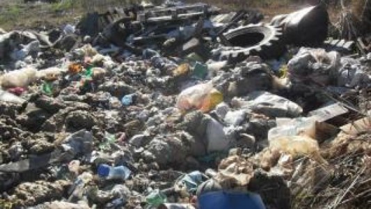 Violaciones al medio ambiente: Argentina deberá responder ante la OEA