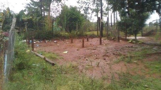 Estaba de viaje y robaron su casa: se la llevaron entera en un camión