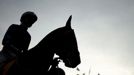 Por falta de carreras, advierten que tendrían que sacrificar caballos