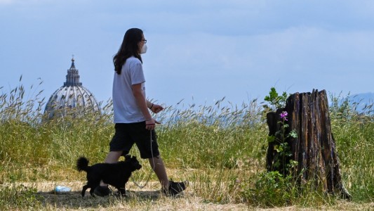 Coronavirus: menores de 20 años tienen la mitad de posibilidades de contagiarse, según nuevo estudio