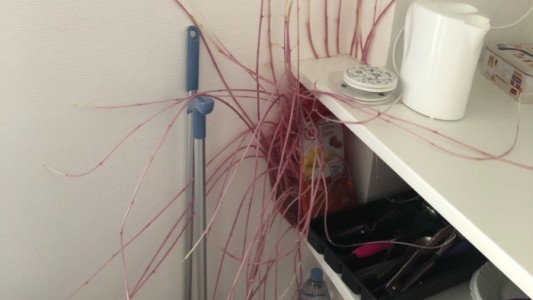 Temor al hallar un extraño objeto cuando volvió a su departamento tras 3 meses confinada