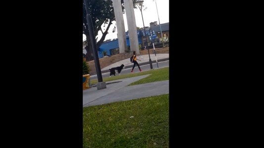 Tucumana sacó a pasear el chivo