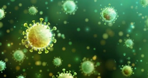 Investigador del Conicet: "El SARS-CoV-2 debe verse como una invasión biológica"