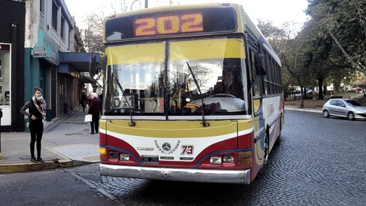 Suspenden el servicio de linea 202 en Berisso por 12 choferes confirmados de coronavirus