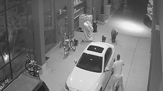 Video: jugador de Fútbol Americano escapó corriendo de su casa al encontrar dos osos