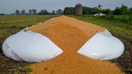 Robaron 150 toneladas de soja en un campo de Tilisarao, en Mendoza