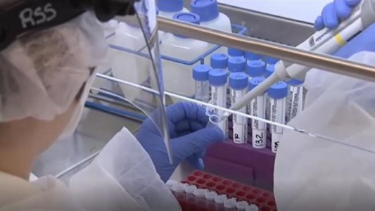 Estudio: un 20% de las personas sanas tiene anticuerpos contra el coronavirus por resfriados comunes