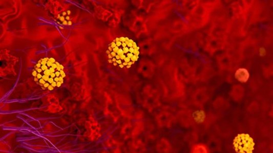 Estudio: el coronavirus vuelve zombis a las células del cuerpo humano