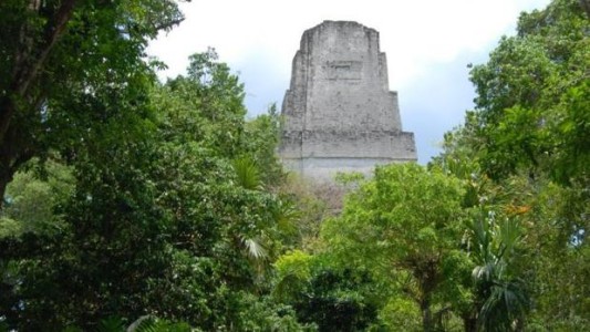Resuelven el misterio de por qué los Mayas abandonaron la ciudad de Tikal