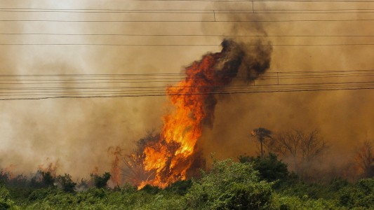 Este es el peor junio en 13 años para la Amazonia brasileña por los incendios