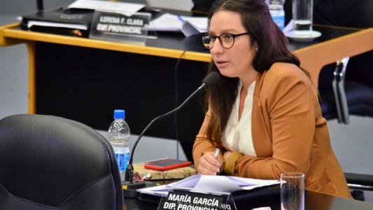 Proyecto para que víctimas de empleados despedidos por violencia de género ocupen sus cargos