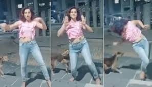 La joven que fue mordida por un perro mientras bailaba para un video de TikTok