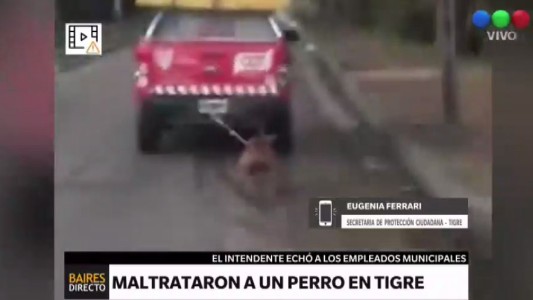 Expulsan a funcionarios de Tigre que arrastraron a un perro