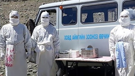 Murió un chico de 15 años por la peste negra en Mongolia