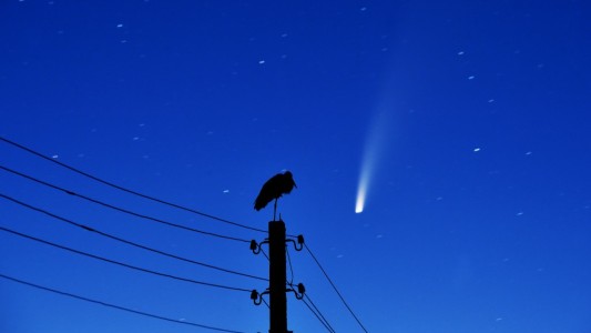 Primeras imágenes: el paso del cometa "Neowise" tras 6.765 años