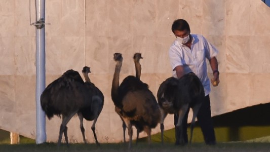 Bolsonaro se hará otro test para comprobar si aún tiene coronavirus: "No soporto esta rutina en casa"