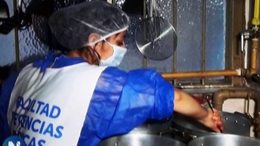 Hay 12.000 voluntarios universitarios colaborando con distintas tareas ante la pandemia