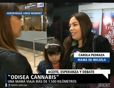 Odisea cannabis