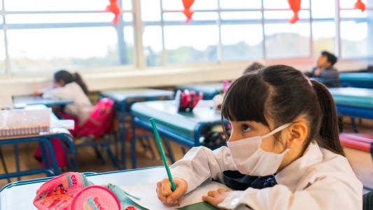 Regreso al aula: Trotta puso en duda que haya "clases diarias" en 2021