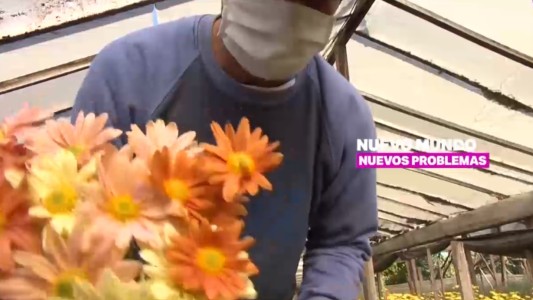 Nuevo Mundo, Nuevos Problemas: la crisis de las flores