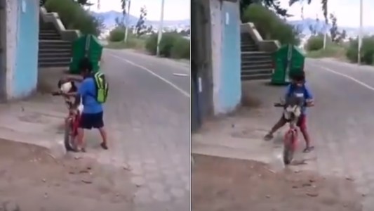 Video: saca a pasear a su perro y le pone barbijo